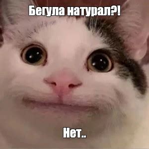 Мем: "Бегула натурал?! Нет.." - Все шаблоны - Meme-arsenal.com