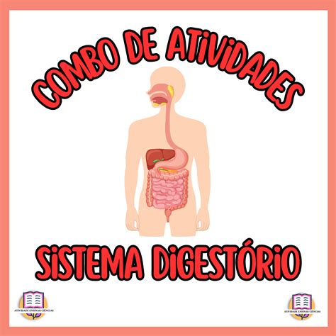 Atividades Sobre Sistema Digestório 5 Ano Com Gabarito - 8