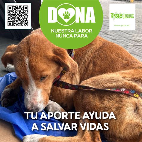 ATENCIÓN | Laidy Álvarez, la Chonera Bonita, por fin habló sobre los