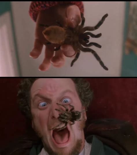 Spider on Marv Scream Meme : r/MemeTemplatesOfficial