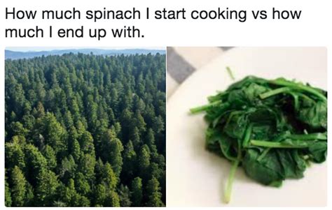 27 Jokes About Trying To Be Healthy That Will Make You Say “Me” – Best ...