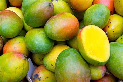 The mango supply chain - freshknowledge.eu