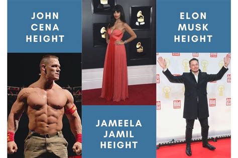 105 Celebrities Height Surprised Us With Their Real Height