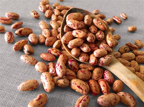 Beans Finance