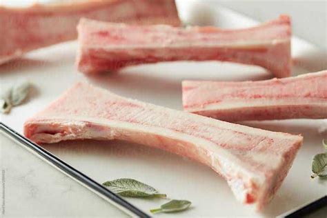 tulang sapi siplah