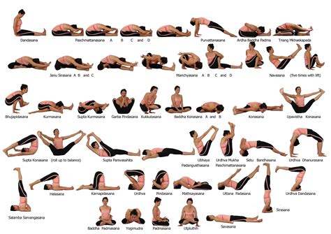 Sitting Yoga Poses With Names In Hindi at Laurice Carter blog