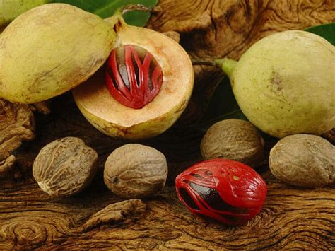 nutmeg  mace interchangeable    answer