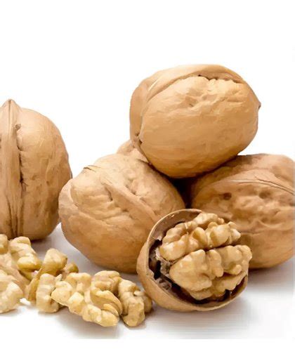 High Protein Walnuts With Shell Pakistan