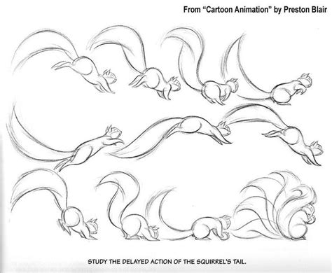 squirrel animation reference - Google Search | Animation sketches ...