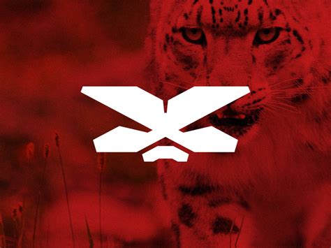 xco sports logo proposal  dimiter petrov  dribbble