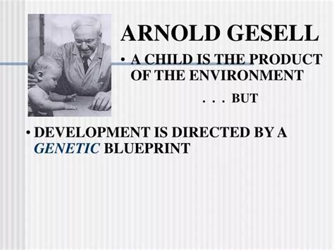PPT - ARNOLD GESELL PowerPoint Presentation, free download - ID:691868