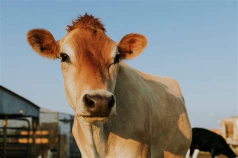 farmers finance