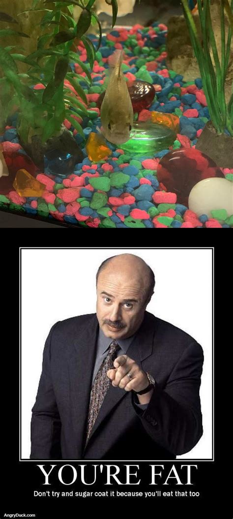 I made my fat jerk tetra into a meme : AquariumMemes