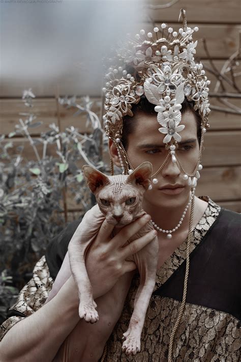 Sensual-Series-Quirky-Animals2 – Fubiz Media