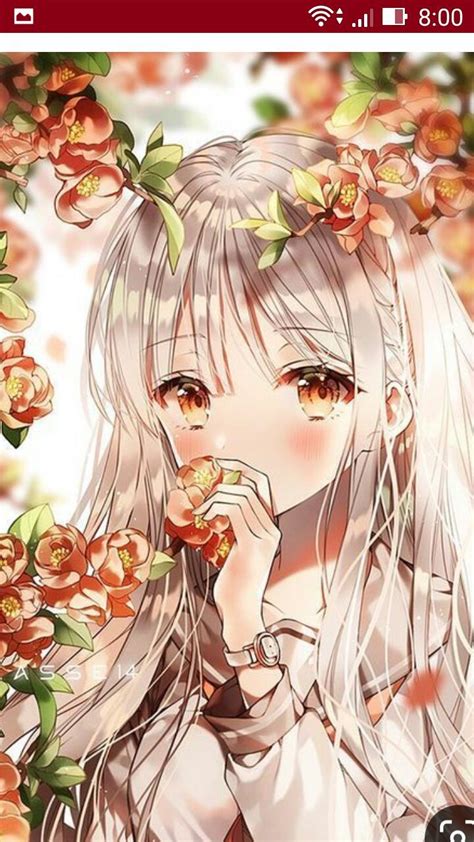 tuyen tap hinh anh anime nu dep nhat nhan vat chinh trong cac bo anime