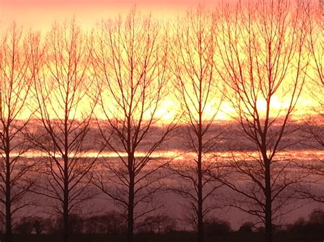 David Miller Farm Services | Halesworth