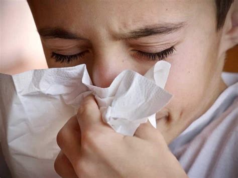 flu protect   treat  naturally  plants