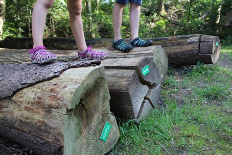 Zu Fuß erleben: Mit Eule Emma auf dem „Holzweg“ - Region Stuttgart