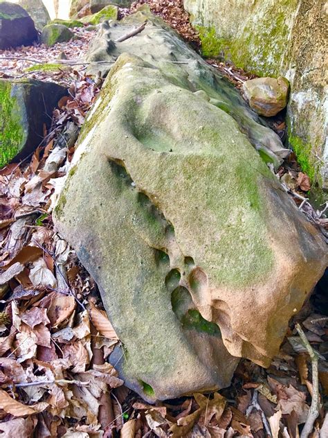 The Pareidolia Paradigm Quintessential Gallery of True Spirit Energies