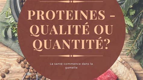 alimentation  quel dieu de la croquette se fier ici