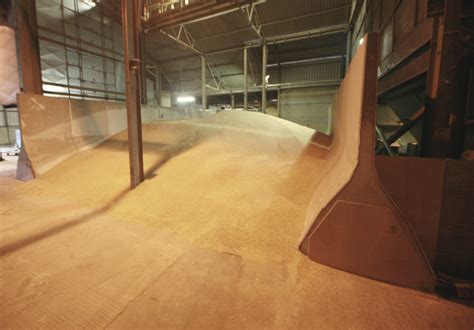 Mike walling announces a major new project for next year 4