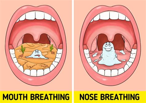 proven ways   fresh breath naturally backed  science