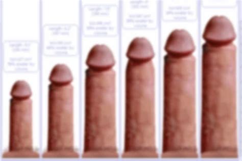 nude photo gallery