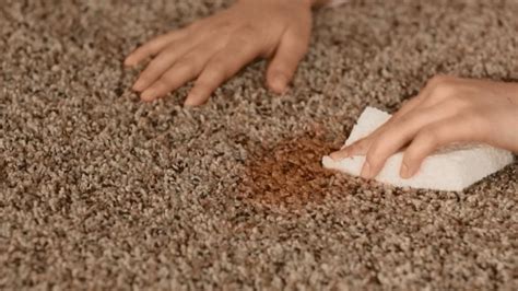 how to get brown stains out of carpet