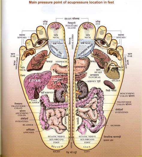 Acupressure points in feet | Acupressure, Acupressure points, Reflexology