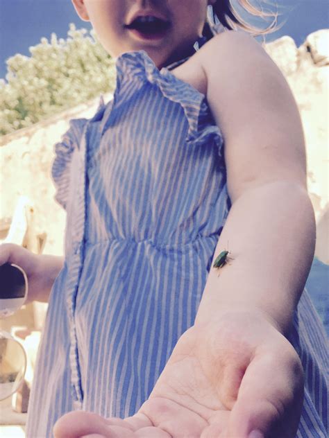 My little girl called June, had a June beetle land on her. She called