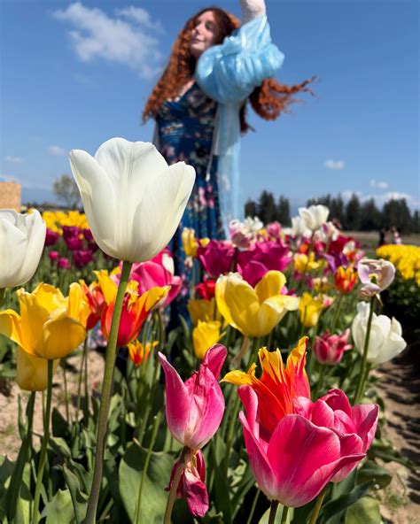 Taversia (@4taversia) • Instagram photos and videos