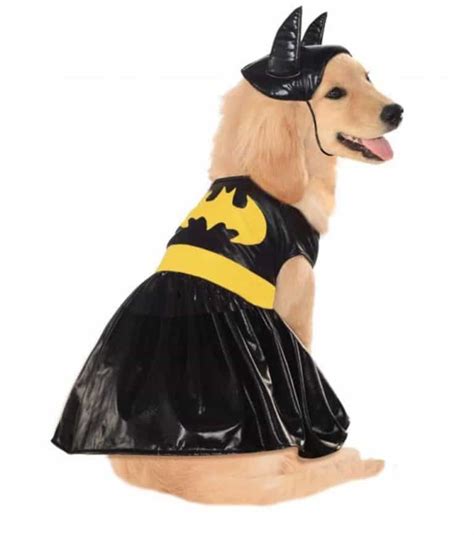 The Best Superhero Dog Costumes for Halloween 2019