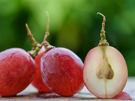 Can You Eat Grape Seeds: Health Benefits and Risks Explained
