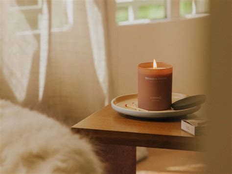 Home, Kitchen & Bathroom Accessories | COSMIC