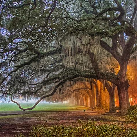 Savannah Sky — TOGETHER IN STYLE