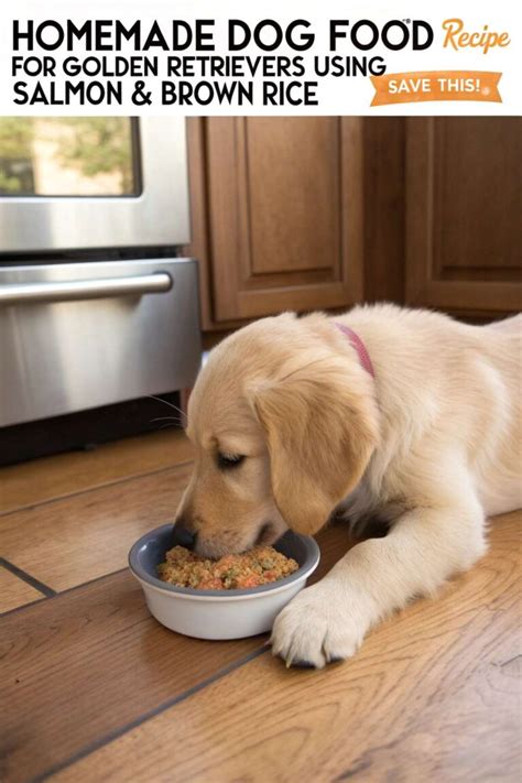 Homemade Dog Food Recipe for Golden Retrievers Using Salmon & Brown ...