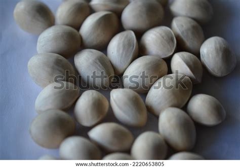 Maidenhair Ginkgo Tree Seeds Ginkgo Biloba Stock Photo 2220653805 ...