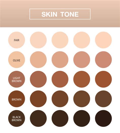 human skin colors stock  pictures royalty