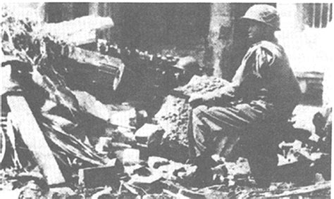 nhung ngay khoi lua dien  forum