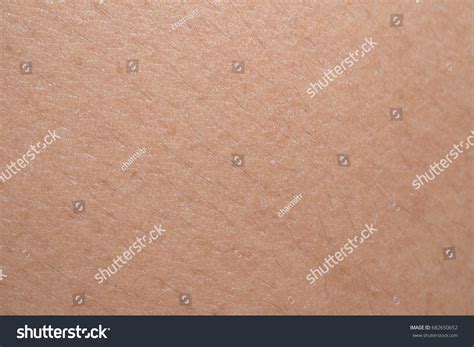 closeup  man skin texture stock photo  shutterstock