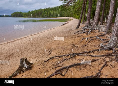 helvetinjaervi national park  res stock photography  images alamy