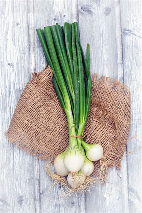 Kitchen Diva: Spring onions flavor the season – AgriNews
