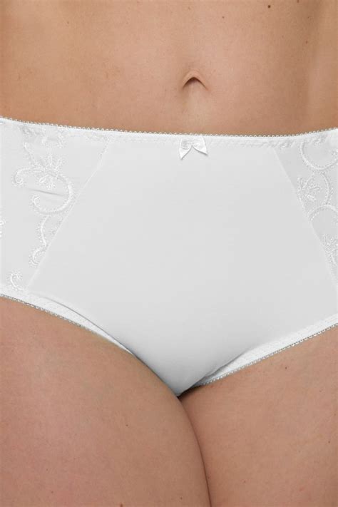 Teri Lingerie Everyday Elegance Shaper Panty 756