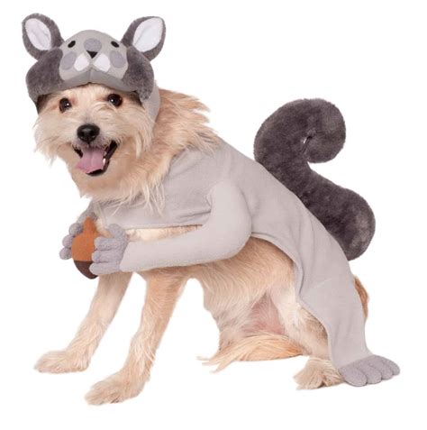 squirrel costume with nuts
