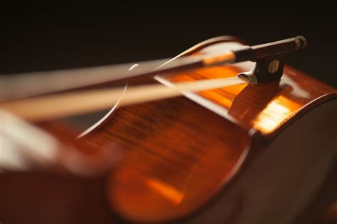 Cedar Top Violin · Free Stock Photo