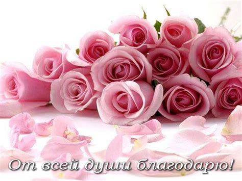Картинки Спасибо - 53 красивых открыток бесплатно