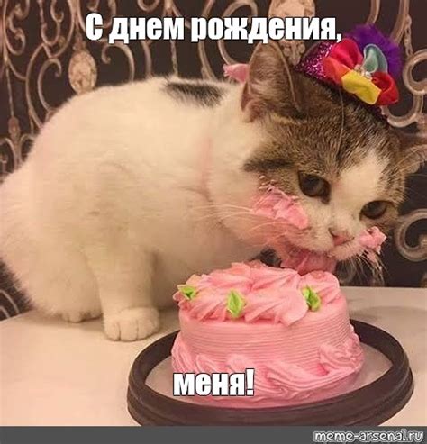 Создать мем "cake happy birthday, грустный кот с тортиком, торты коты ...
