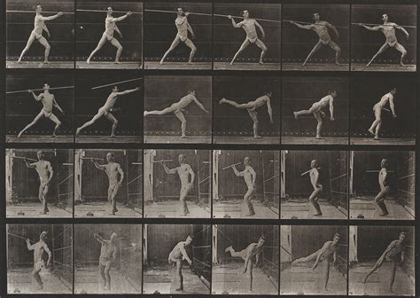 Exposed: Eadweard Muybridge and the Study of Motion - The Heckscher