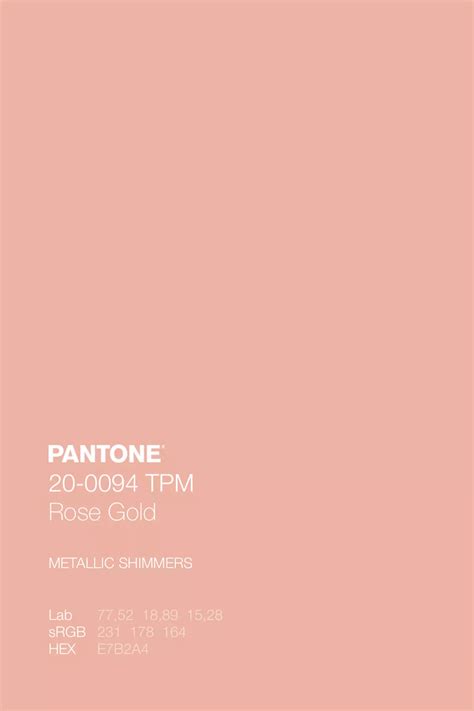 rose color color palette kidspattern