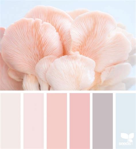 Как идеально подобрать нежные сочетания оттенков 5 Decor Color Schemes ...